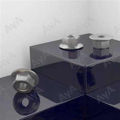 Nuts di flange serrati inox